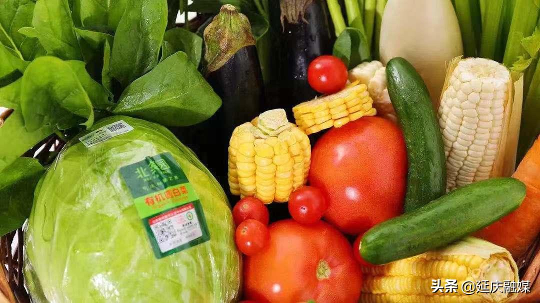 政协委员关于农业的提案,政协聚焦生态拿出更多提案建议