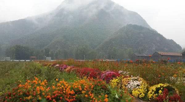 北京游玩北京必去的十大景点,北京周末度假景点推荐