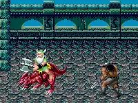 md战棋游戏,md双人游戏