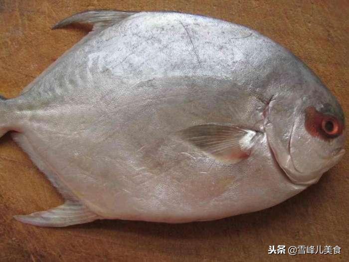 鱼不煎不炸怎么红烧好吃,怎么煎炖熟的鱼不碎不粘皮