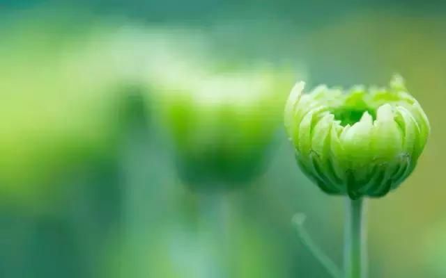 最无助的时候除了坚强别无选择,最无助的时候一切靠自己