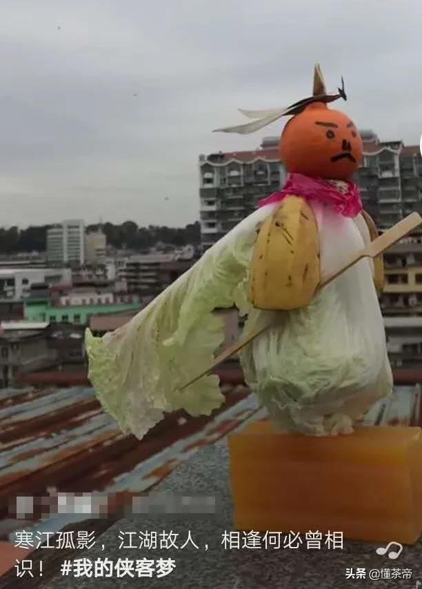 哪些茶是冲泡好的茶,掌握这几点轻松泡出好喝的茶