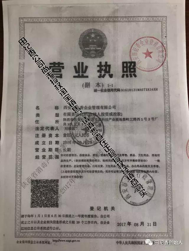 西安田纪香,田纪香总部