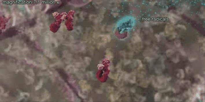 胰岛素是如何导致糖尿病的,胰岛素增多为什么会导致糖尿病