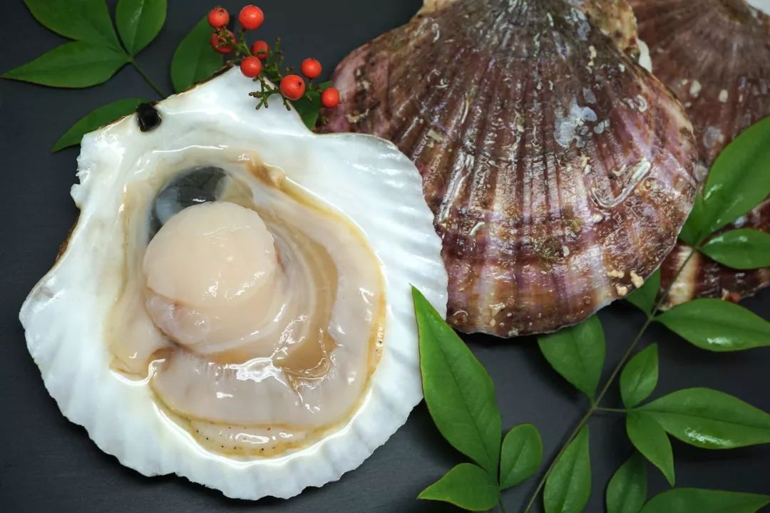 假如扇贝没有跑路,如果扇贝肉没清理干净吃会怎么样