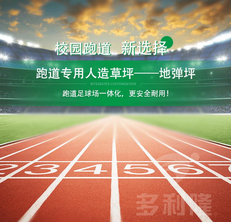 多利隆人造草坪厂家,多利隆人造草坪集团有限公司