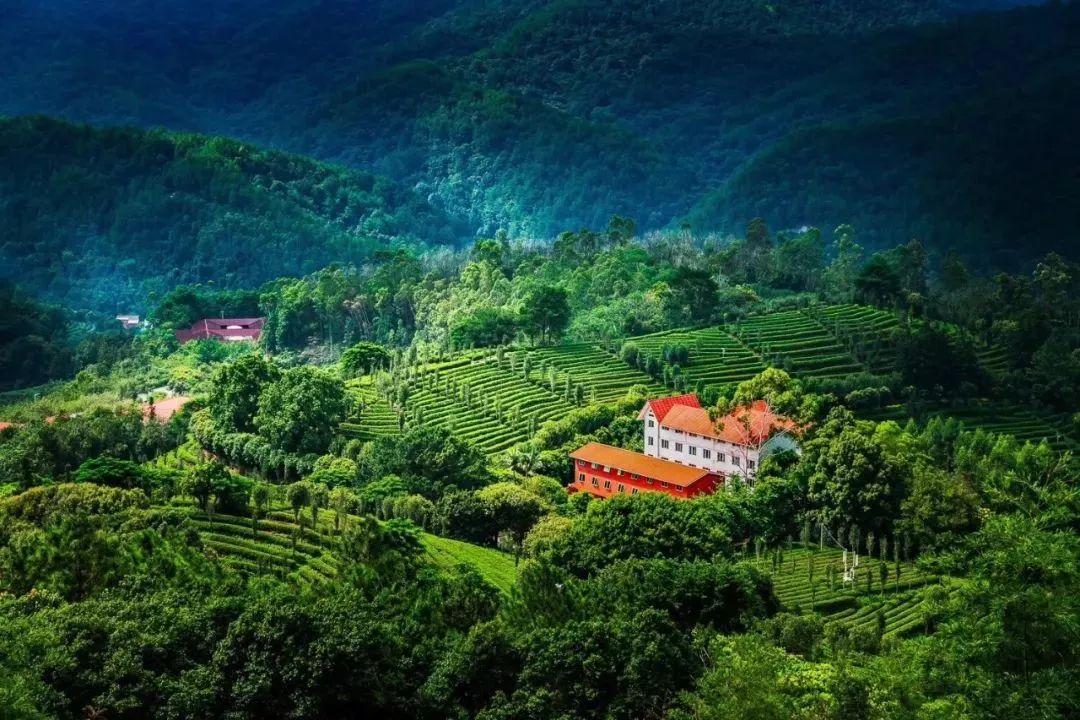 带你了解梅州,梅州介绍宣传片