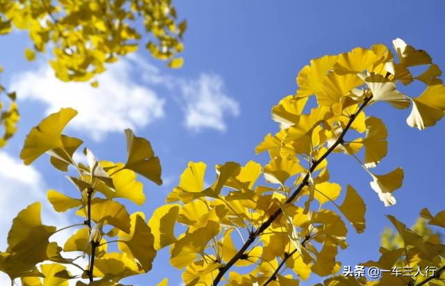 大连有一个蓝色的小城堡景点,大连秋季旅游景点攻略大全