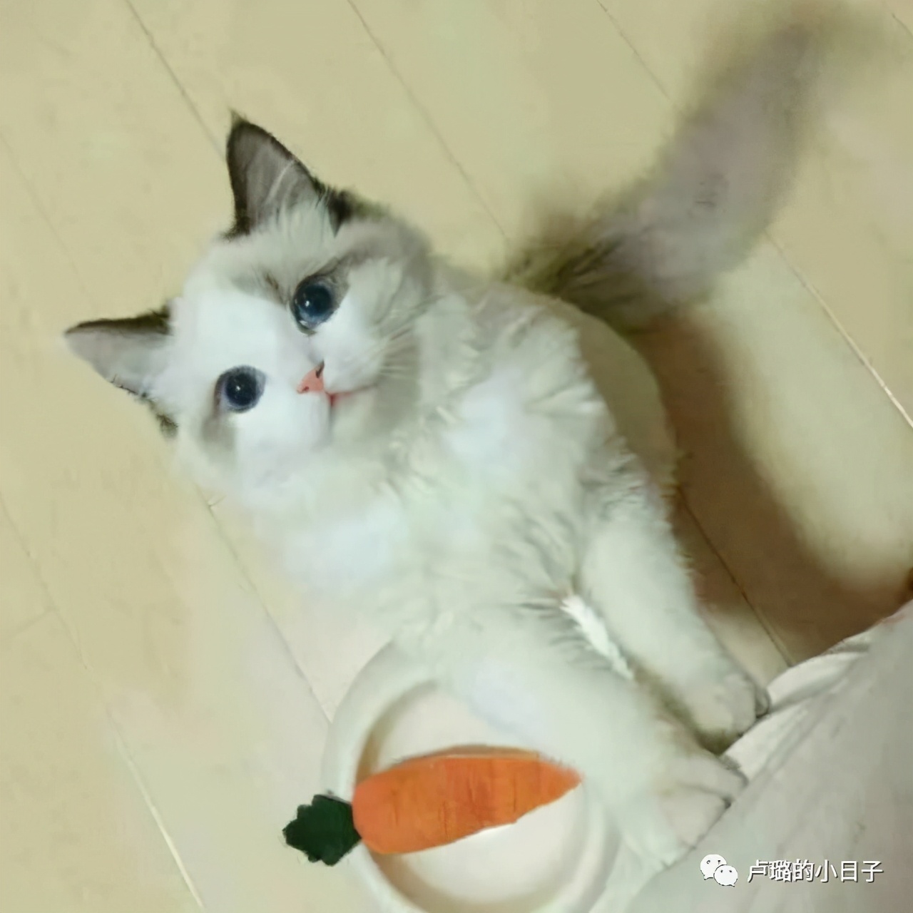 值得回忆的五部电视剧,值得反复观看的七部电视剧