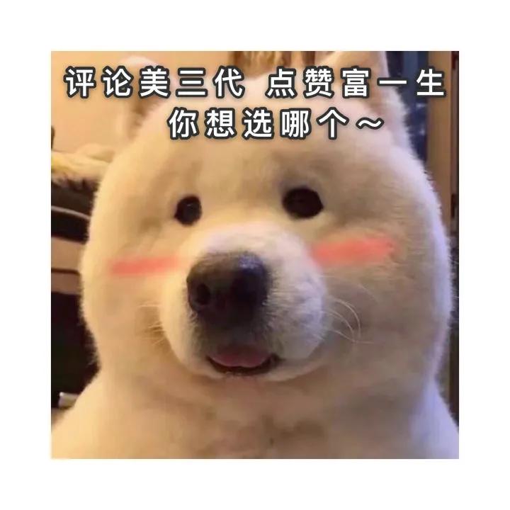 用鲁迅的语句写辞职信,鲁迅的口吻写辞职信