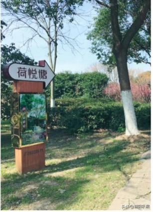 江阴别墅哪个小区最好,江阴最坚挺的小区