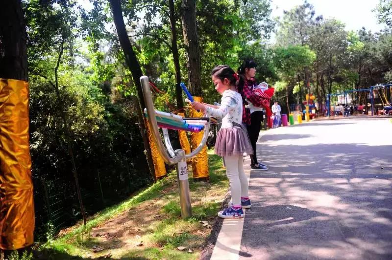长沙松鼠园游玩攻略,端午长沙再成旅游热门目的地
