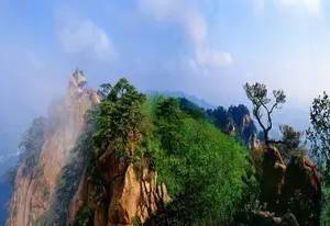 鞍山有几条街,鞍山好玩的商业街室外