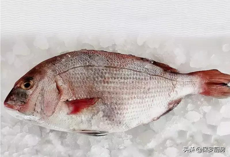 海鲜大荟萃,常见贝壳类海鲜