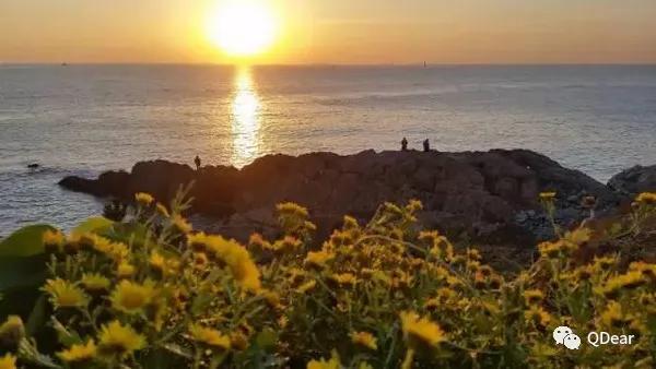 青岛最适宜旅游的景点有几个,青岛过年免费旅游景点