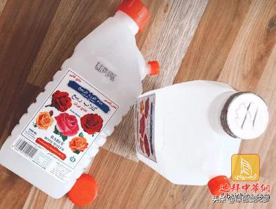 迪拜特产种子推荐,迪拜十大特产水果是什么