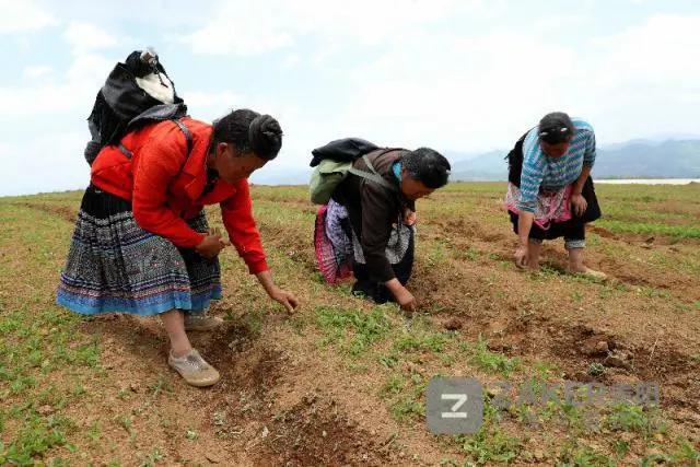 贵州决战脱贫攻坚走进万山,贵州脱贫攻坚视频