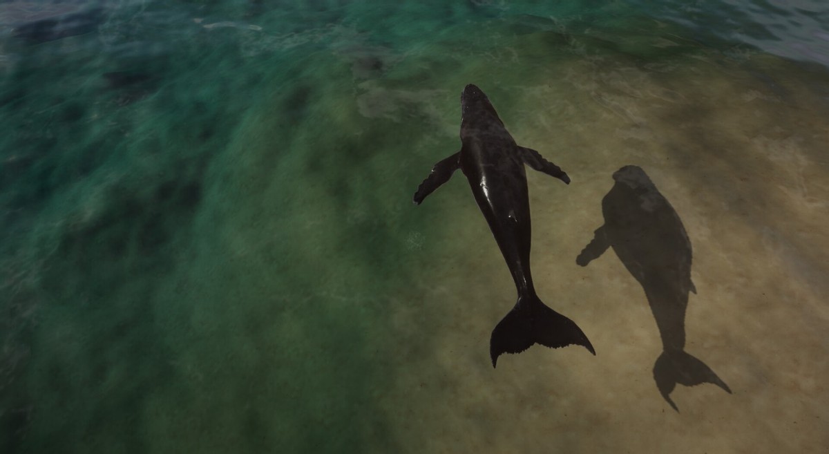 剑网三大唐三大风雅之地,剑网3雪橇三傻