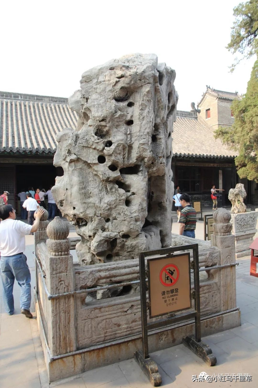 曲阜孔府孔庙孔林历史背景,曲阜孔府孔庙孔林一游