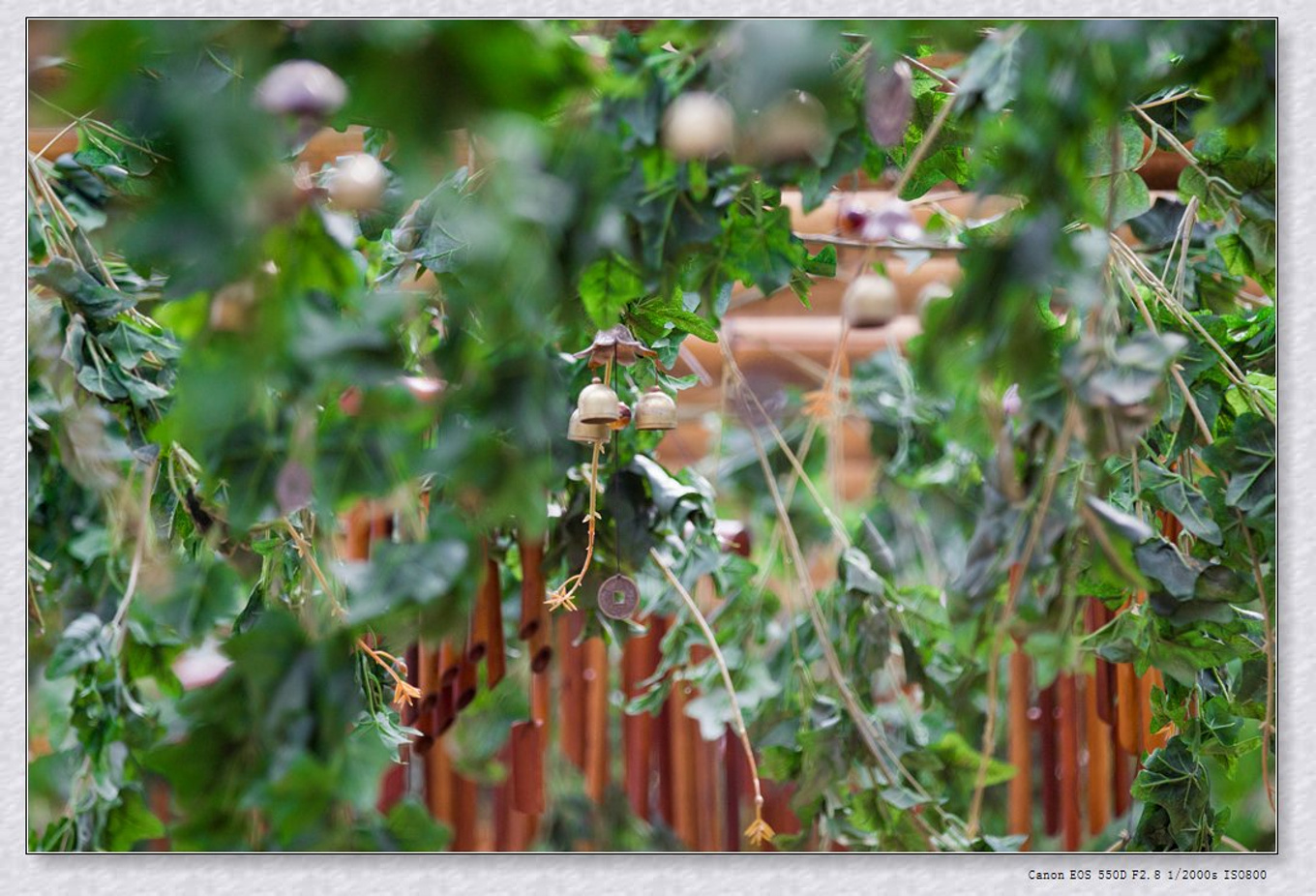 常州旅游东方盐湖城,骆驼之旅视频
