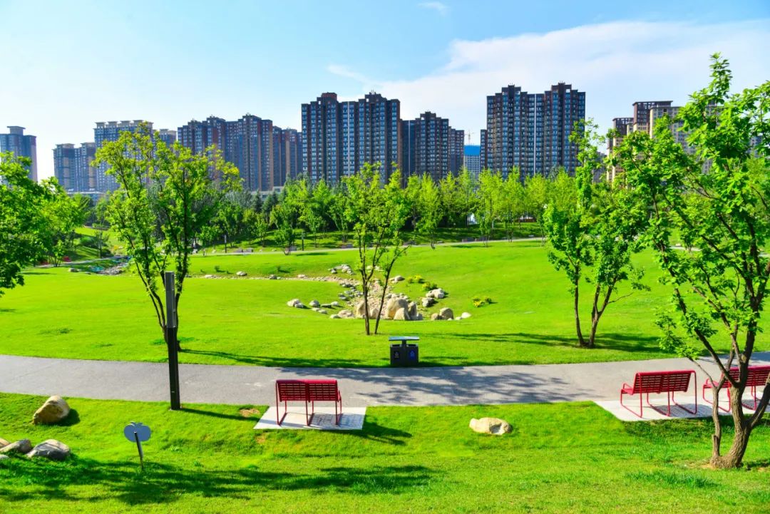 西安城市运动公园跑步打卡,西安有哪些运动场地