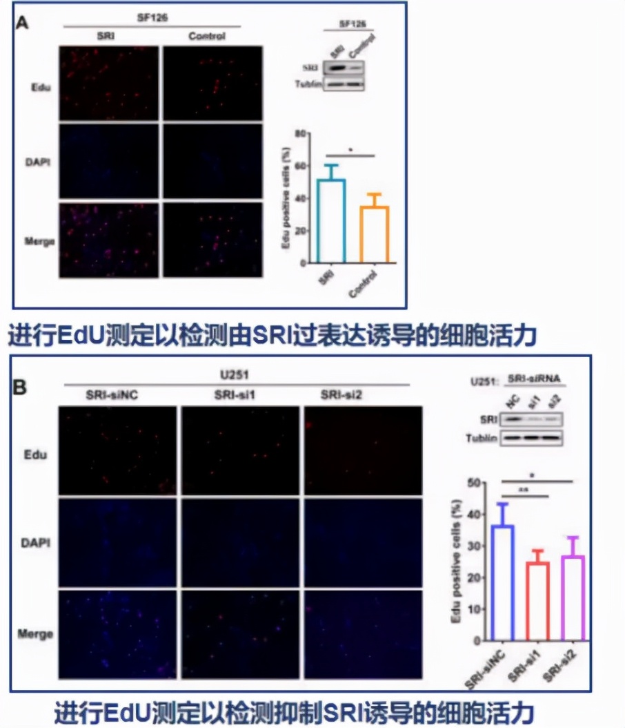 免疫治疗胶质瘤最新进展,胶质瘤能用靶向药物治疗吗