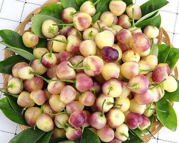 七彩盆栽迷你小辣椒,小辣椒迷你