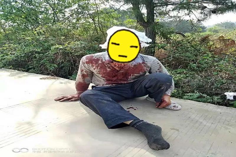 贵州一黄牛发疯,贵州一牛发疯撞人