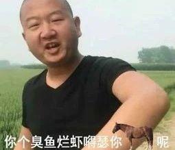 现在网上有很多土味视频,土味视频为何让人上瘾
