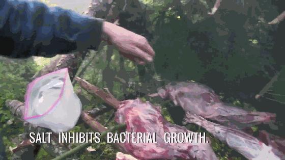 学到就赚到的技巧,学到就是赚到钱的方法