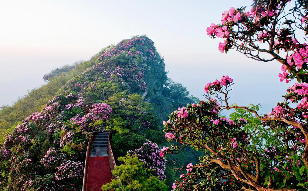 巴中光雾山红叶的最佳时间,红叶谷打卡地