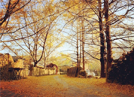 初中语文必背十大成语,初中语文常见成语