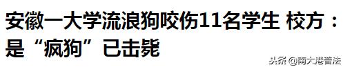 大学宿舍养狗什么处分最严重,大学生在宿舍养猪被通报批评