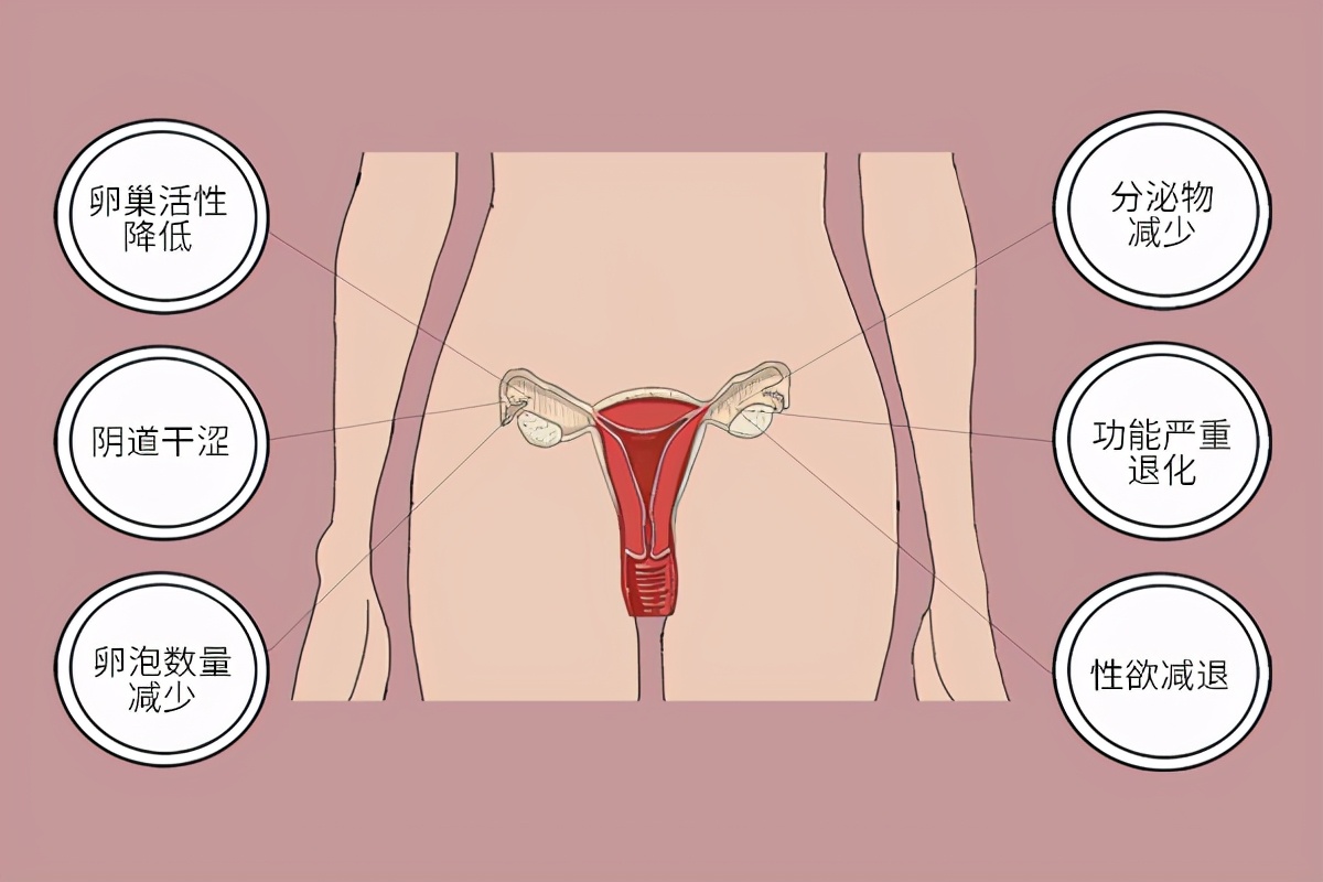 50岁眉毛长长又翘起是什么征兆,五十岁长出长寿眉毛是怎么回事