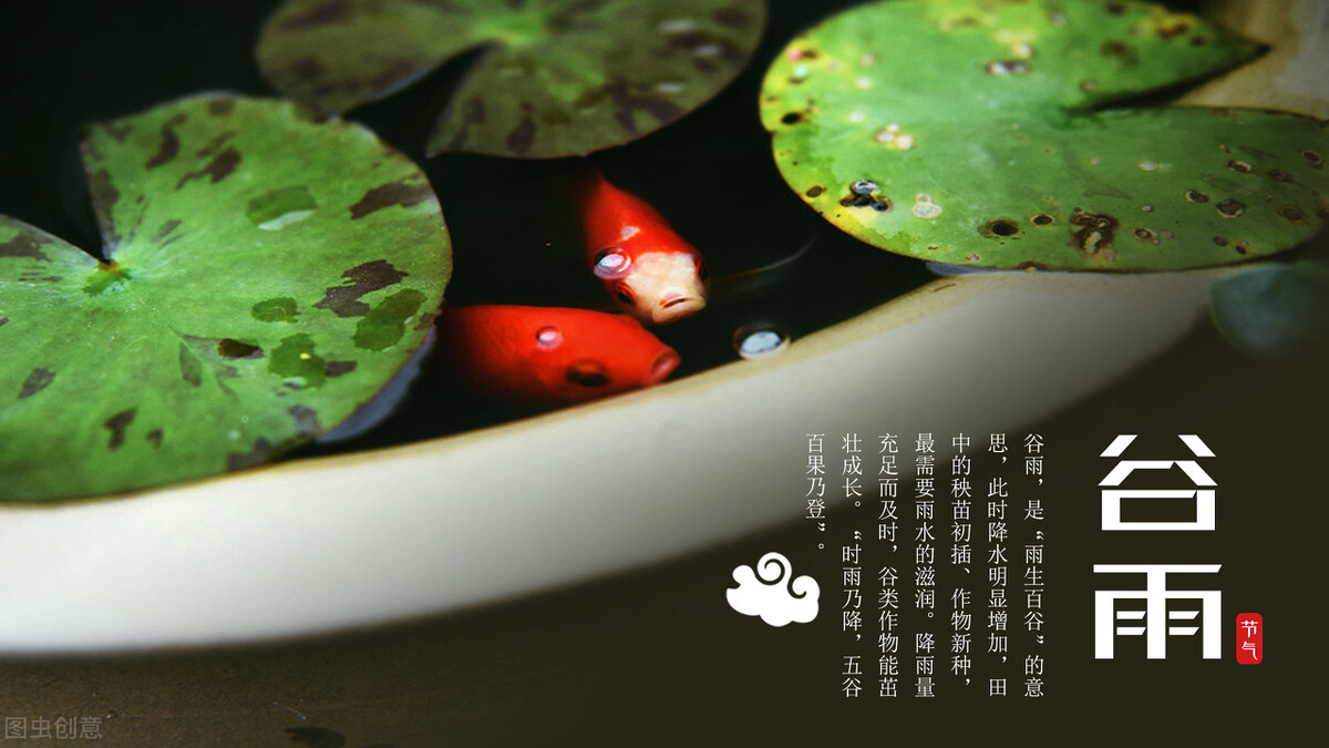 怎么写微信公众号文章内容,微信公众号怎么转载文章