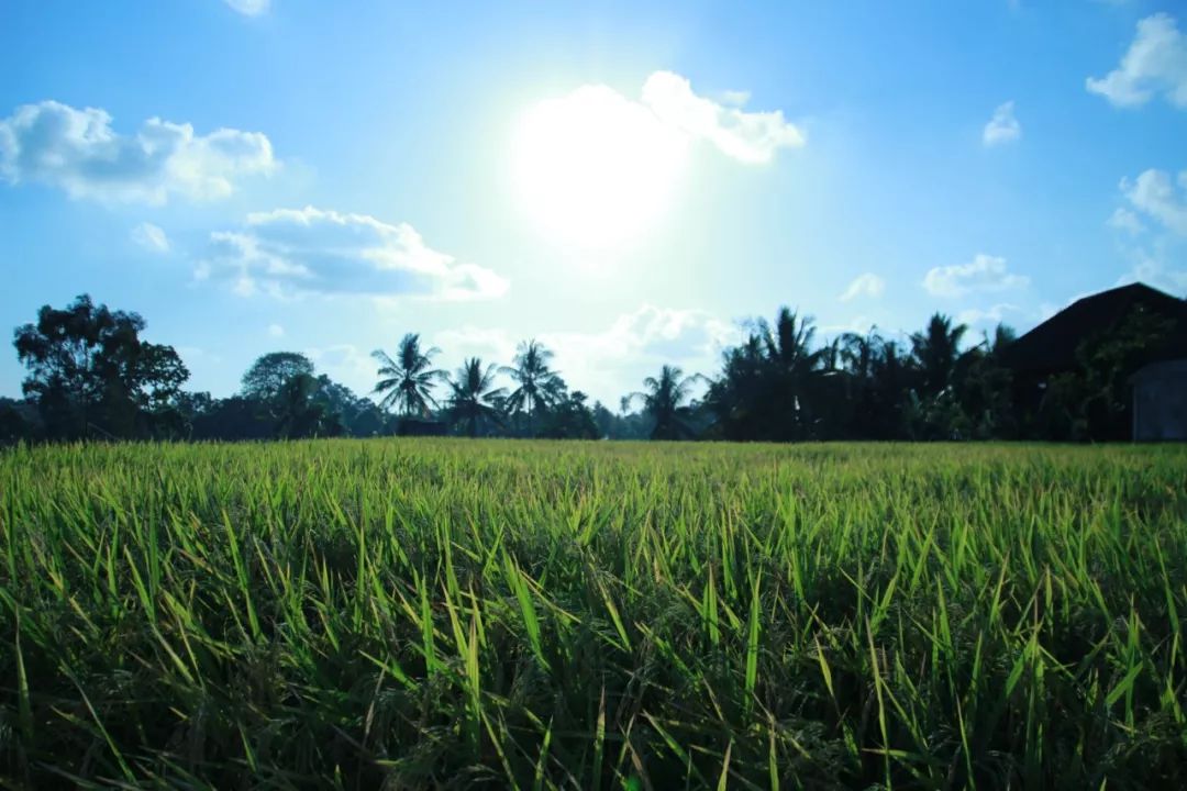 如何快速增加宇宙能量,如何让能量扩大