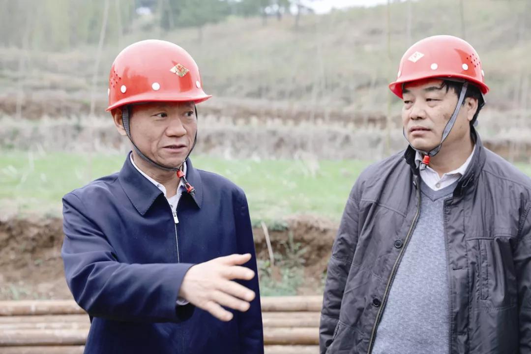 投票活动第一名是谁,投票前五名有谁