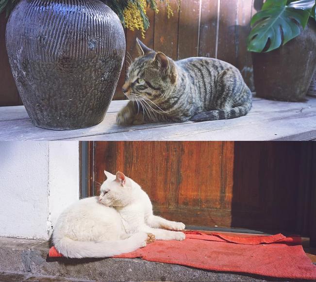 炎热的夏天,社畜需要一个安静的小酒馆