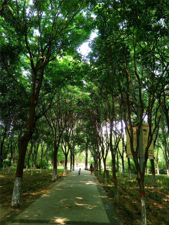 被郑州人藏起来不告诉外地人的四大景点，小伙冒死递出情报