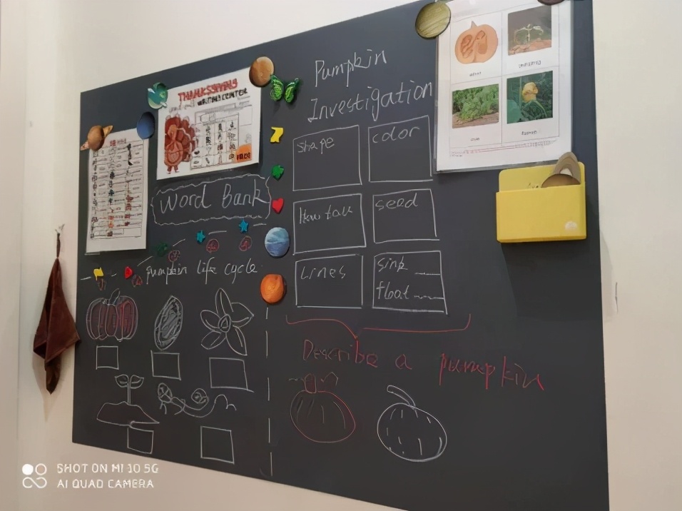 廖彩杏、吴敏兰、汪培珽，英语启蒙三大门派该如何选择？