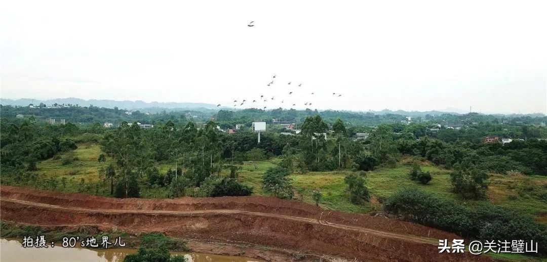 閲嶅簡甯傜挧灞辨潵鍑ら晣,鎴戝湪鐠у北
