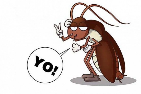 为什么把蟑螂踩死蟑螂会越来越多,涨知识野火烧不尽