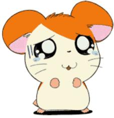 1分钟轻松学会三大难懂方言！以后来这些地方横着走