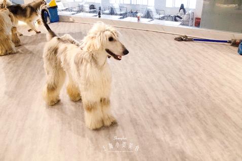 榄旈兘鍝堝＋濂囧挅鍟＄埍鐞存捣,榄旈兘鍝堝＋濂囧挅鍟￠