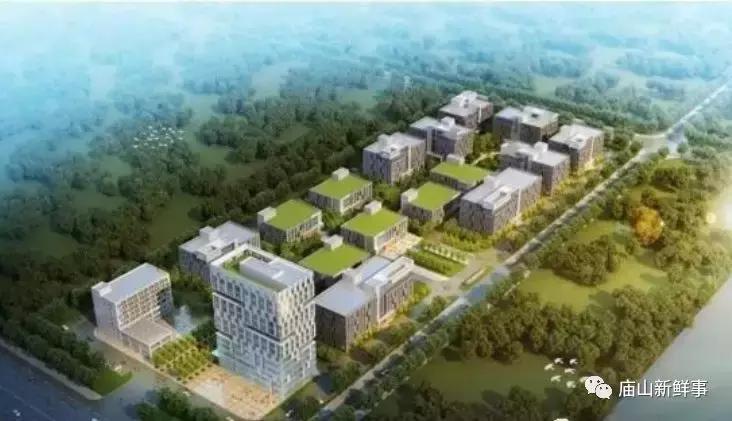 东湖高新创新产业基地襄阳,东湖高新区光谷建设