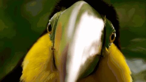 你在搞笑吗韩语,bbc搞笑视频