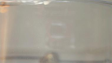 和菓子日本美食,日本的甜品和果子