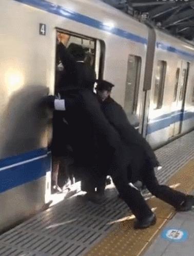 日本有很多猫岛,日本有座岛岛上全是猫咪