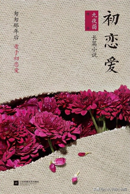 九夜茴小说初恋爱结局,九夜茴初恋爱小说推荐