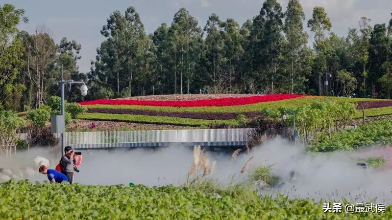 第八届贺岁杯怎么没有潘晓婷,cctv贺岁杯决赛